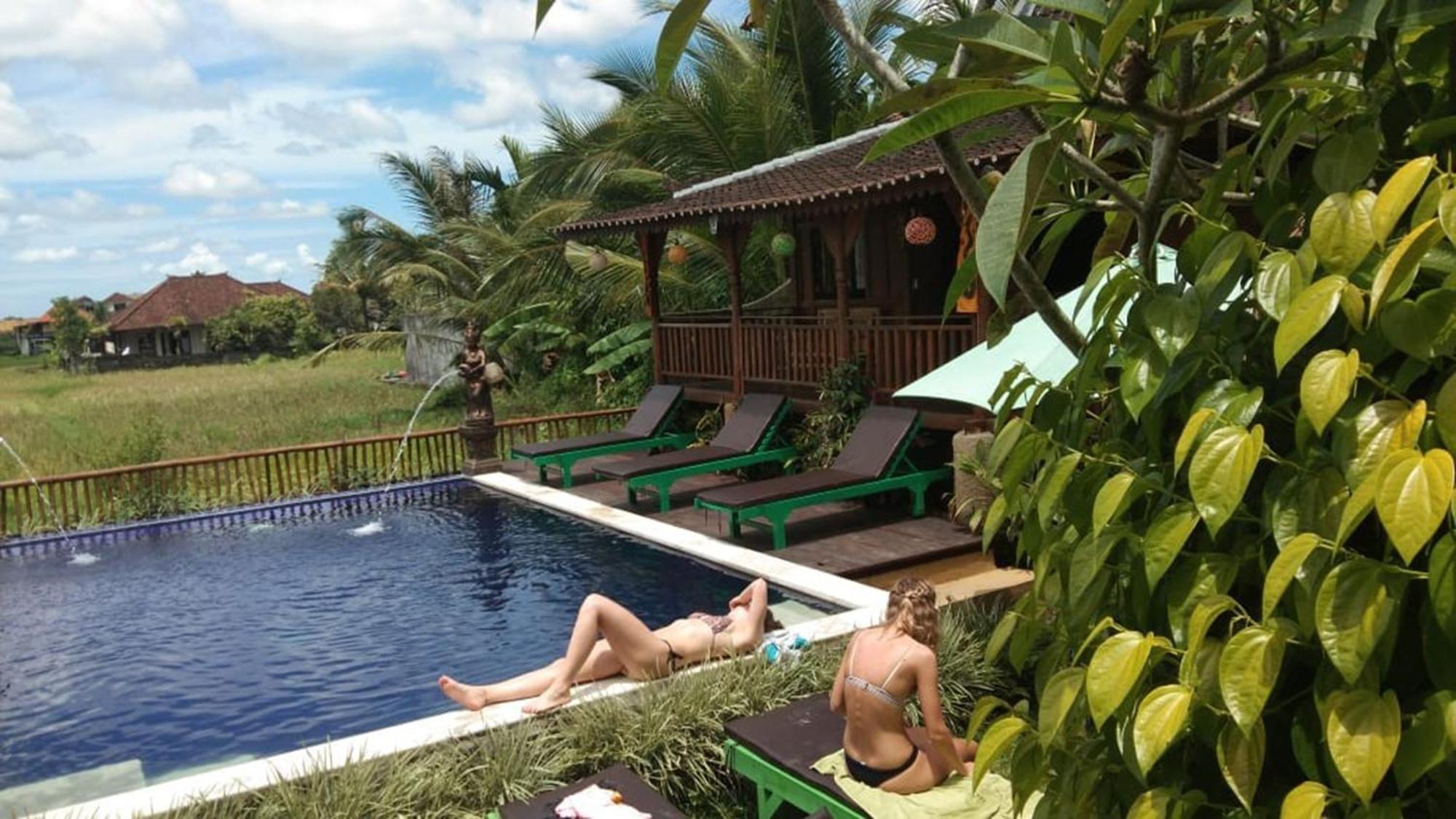 Green Paddy Hostel & Villa Ubud Extérieur photo