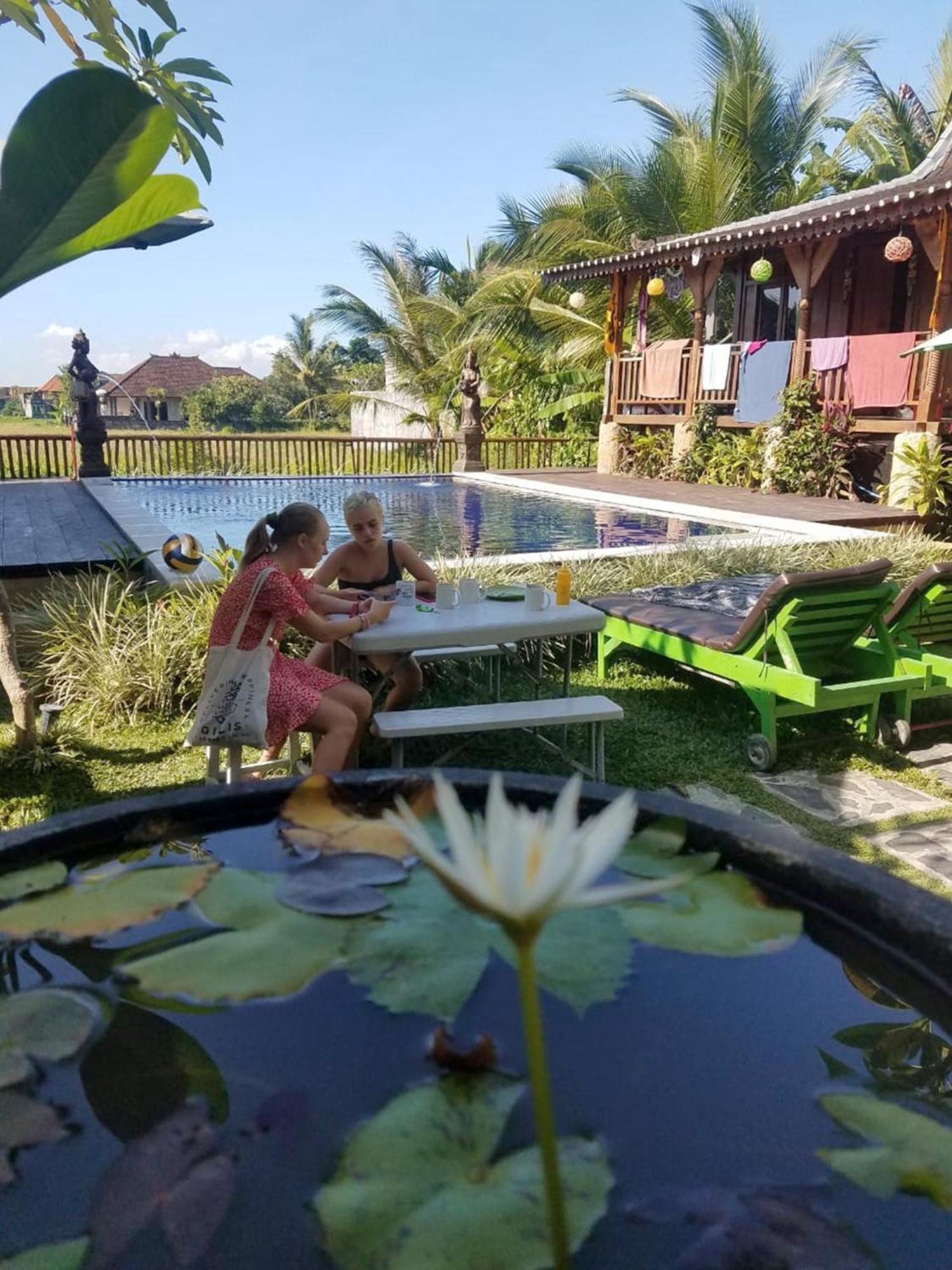 Green Paddy Hostel & Villa Ubud Extérieur photo