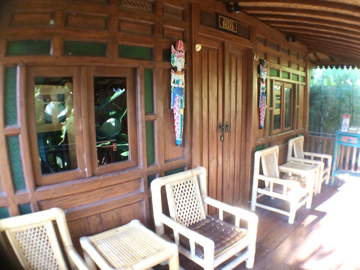 Green Paddy Hostel & Villa Ubud Extérieur photo